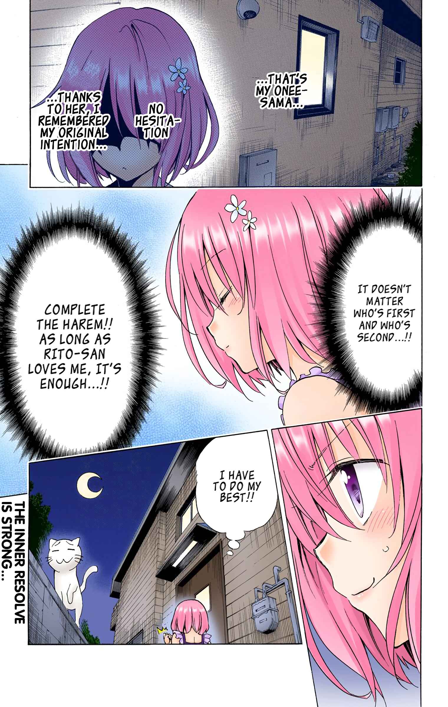 Page 37 Chapter 56 To Love Ru Darkness (Official Colored)