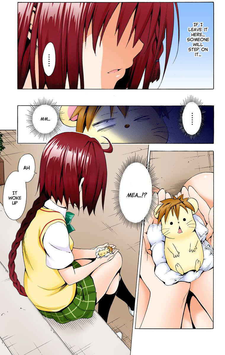 Page 31 Chapter 27 To Love Ru Darkness (Official Colored)
