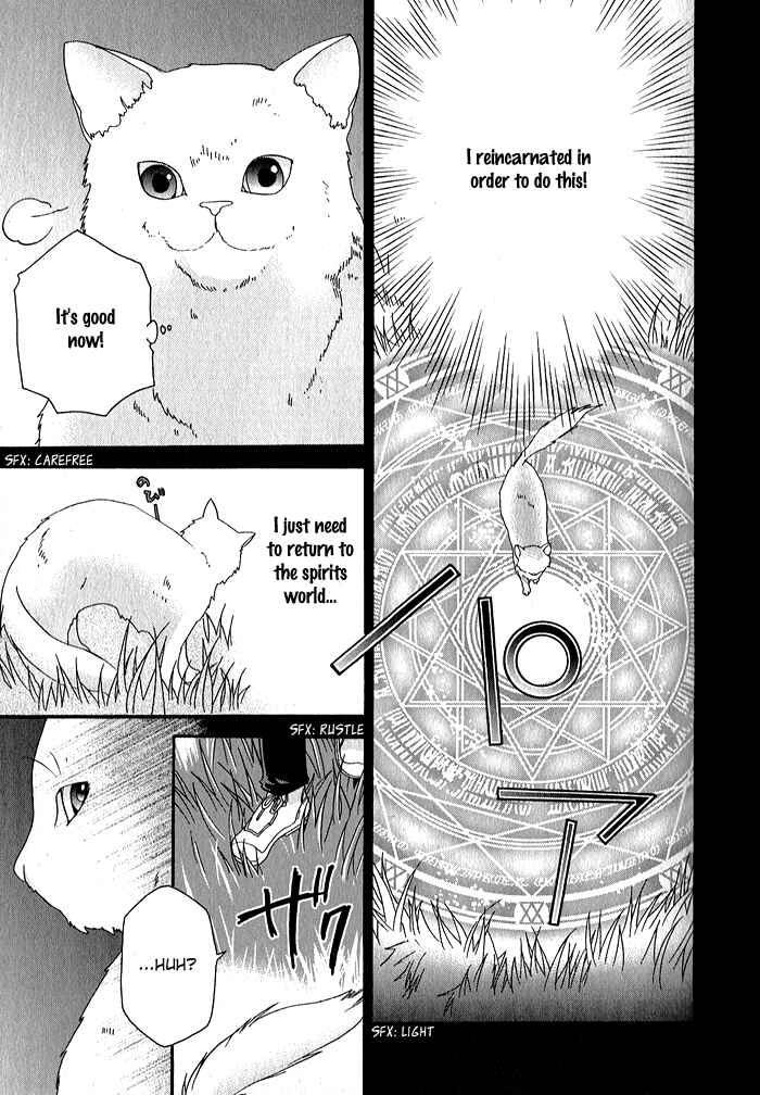 Page 11 Chapter 32 Mahoutsukai no Neko