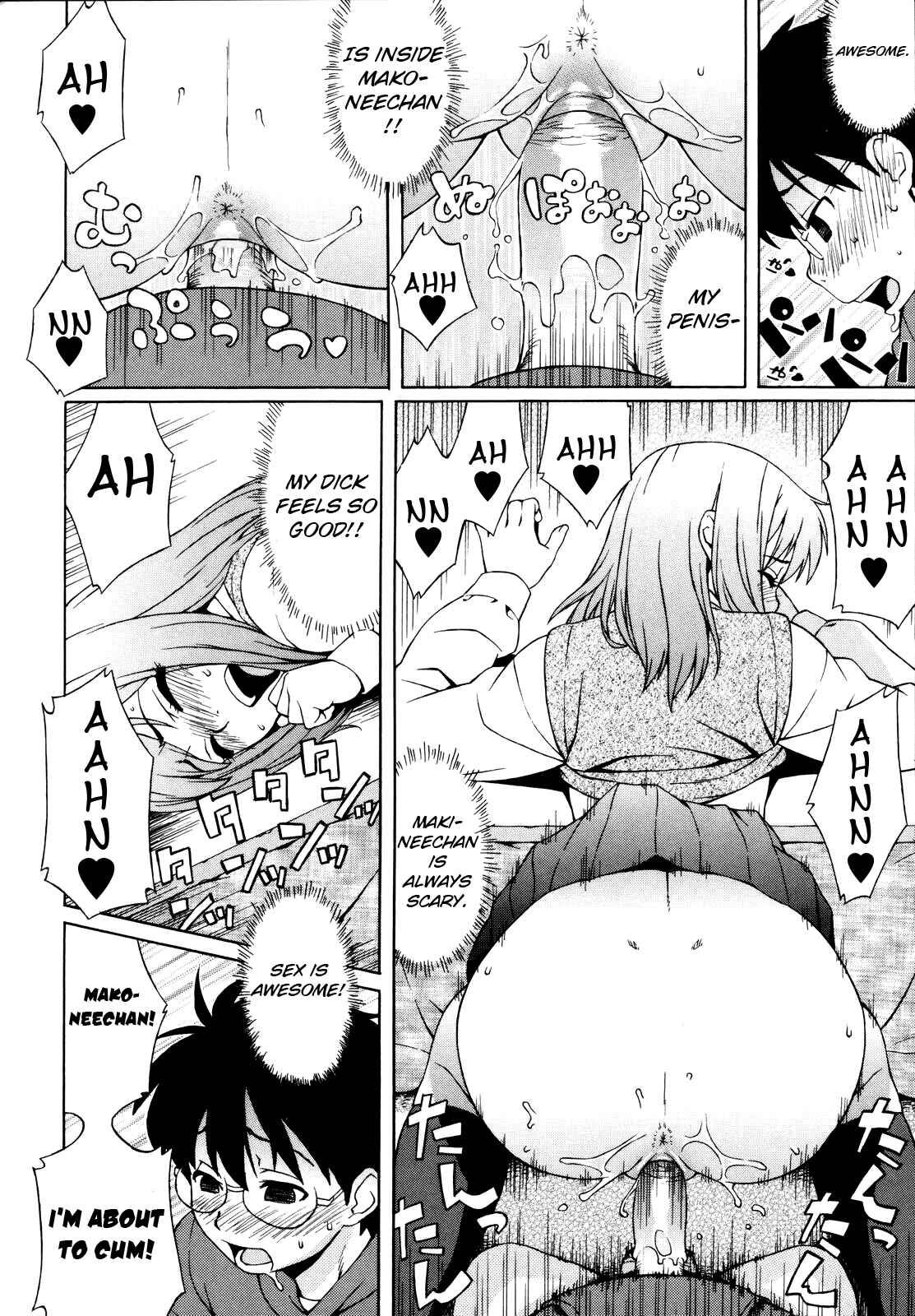 Page 14 Chapter 8 Adolescence is a Sexual Excitement Period