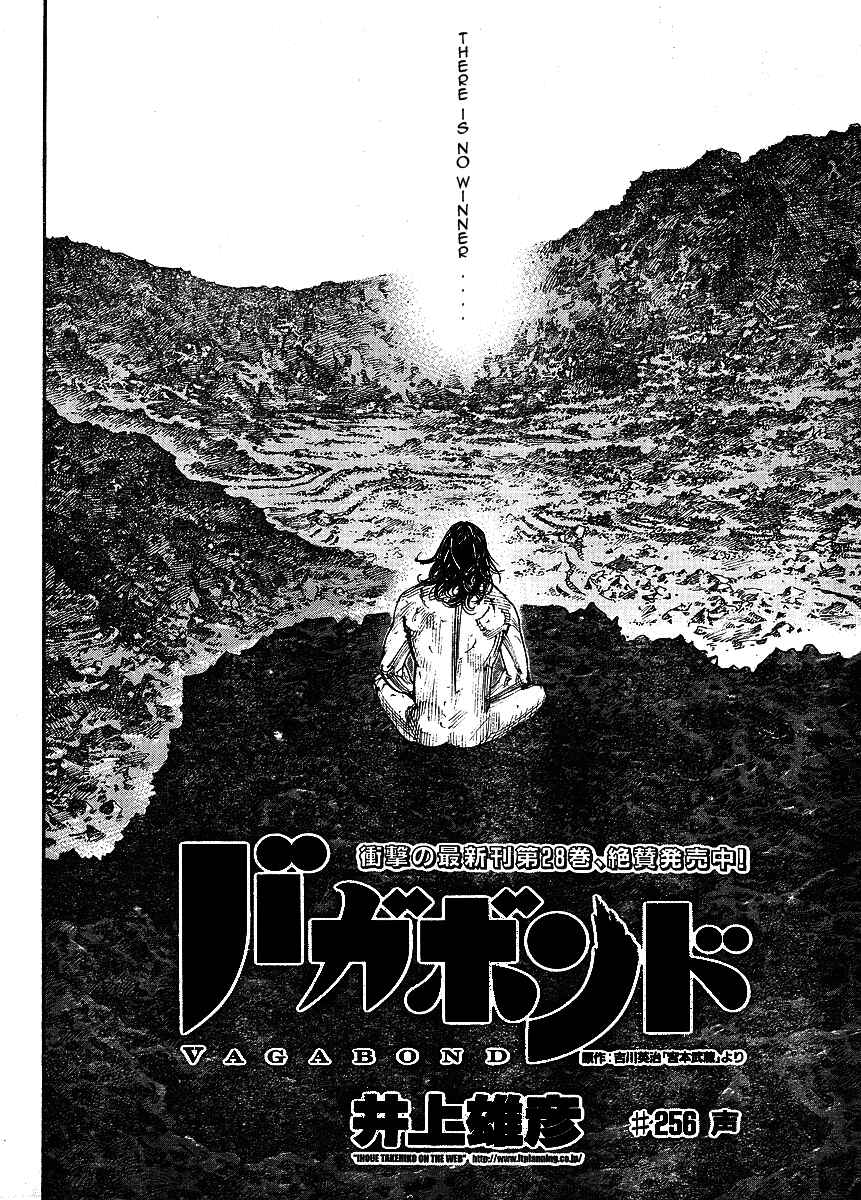 Page 4 Chapter 256 Vagabond