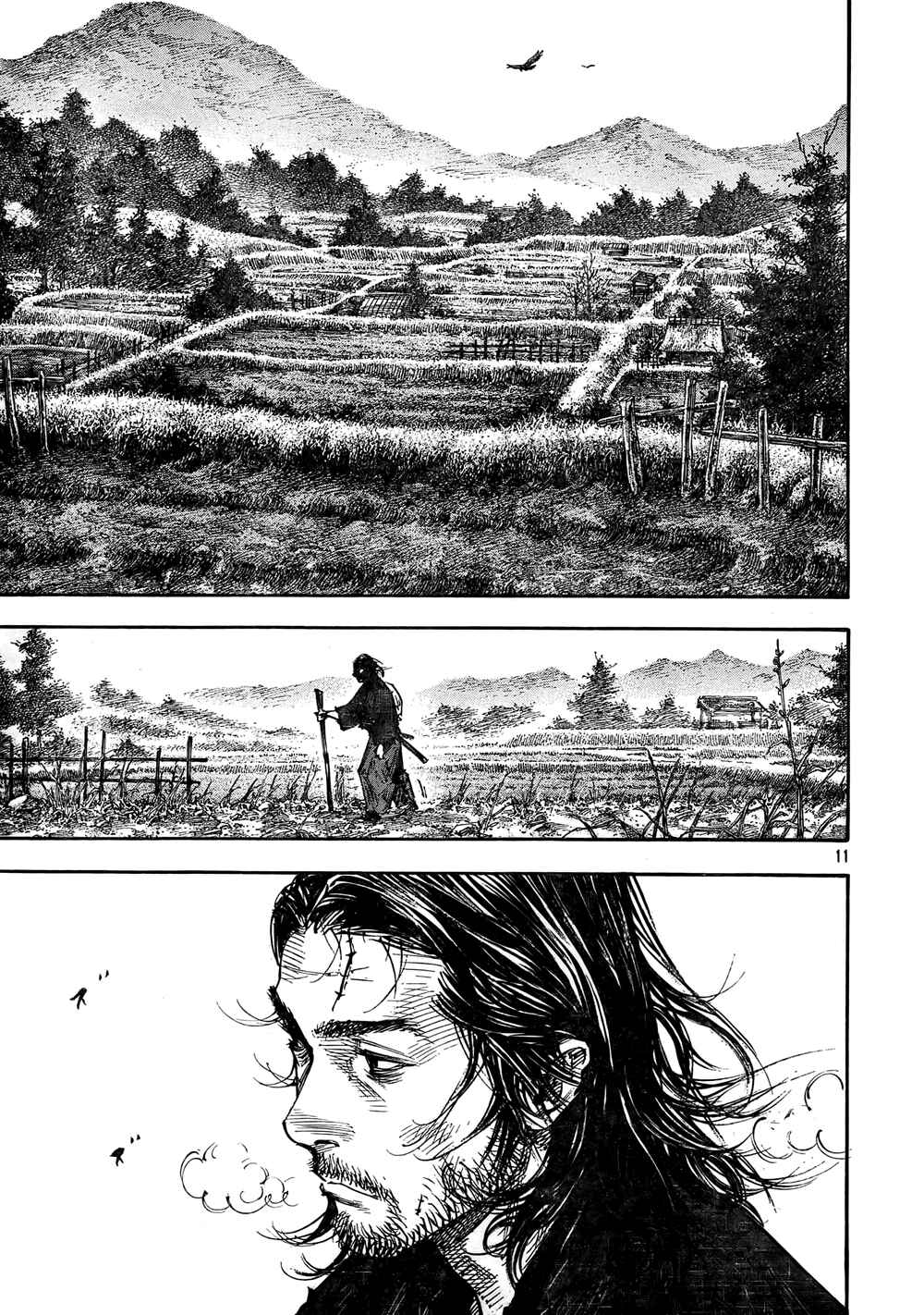 Page 11 Chapter 271 Vagabond
