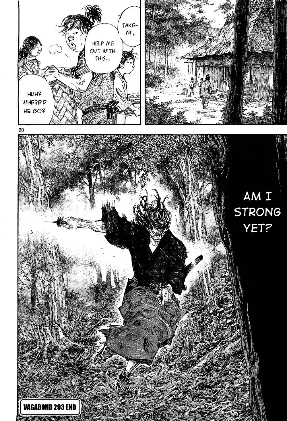 Page 20 Chapter 293 Vagabond