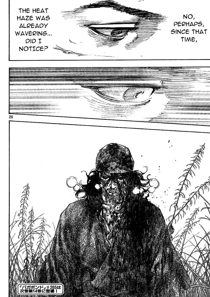 Page 19 Chapter 264 Vagabond