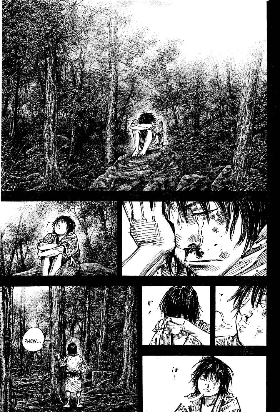 Page 12 Chapter 306 Vagabond
