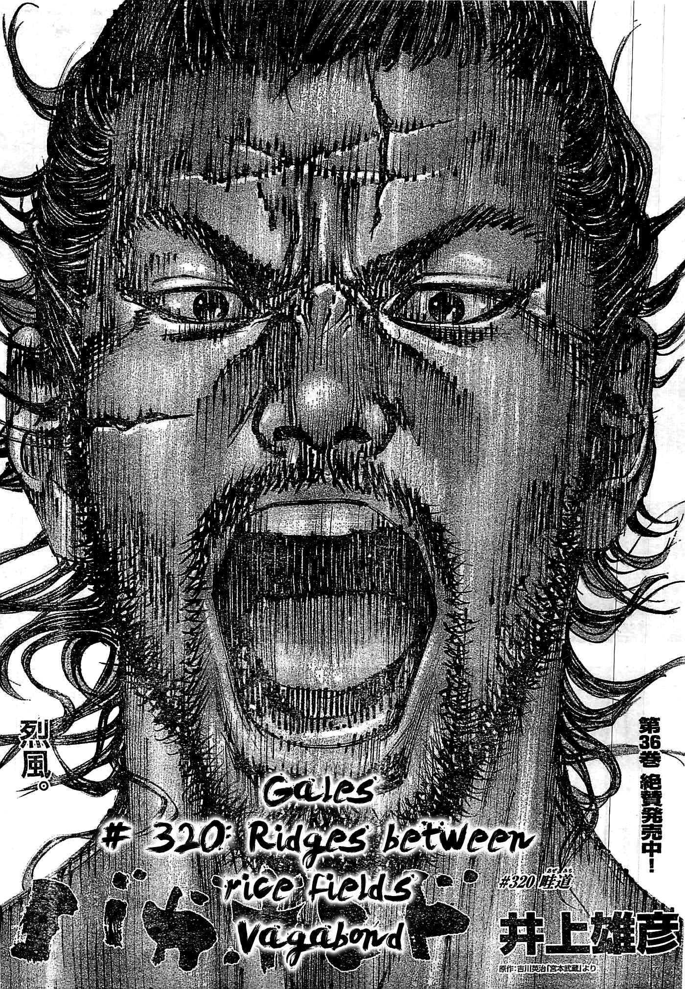 Page 1 Chapter 320 Vagabond