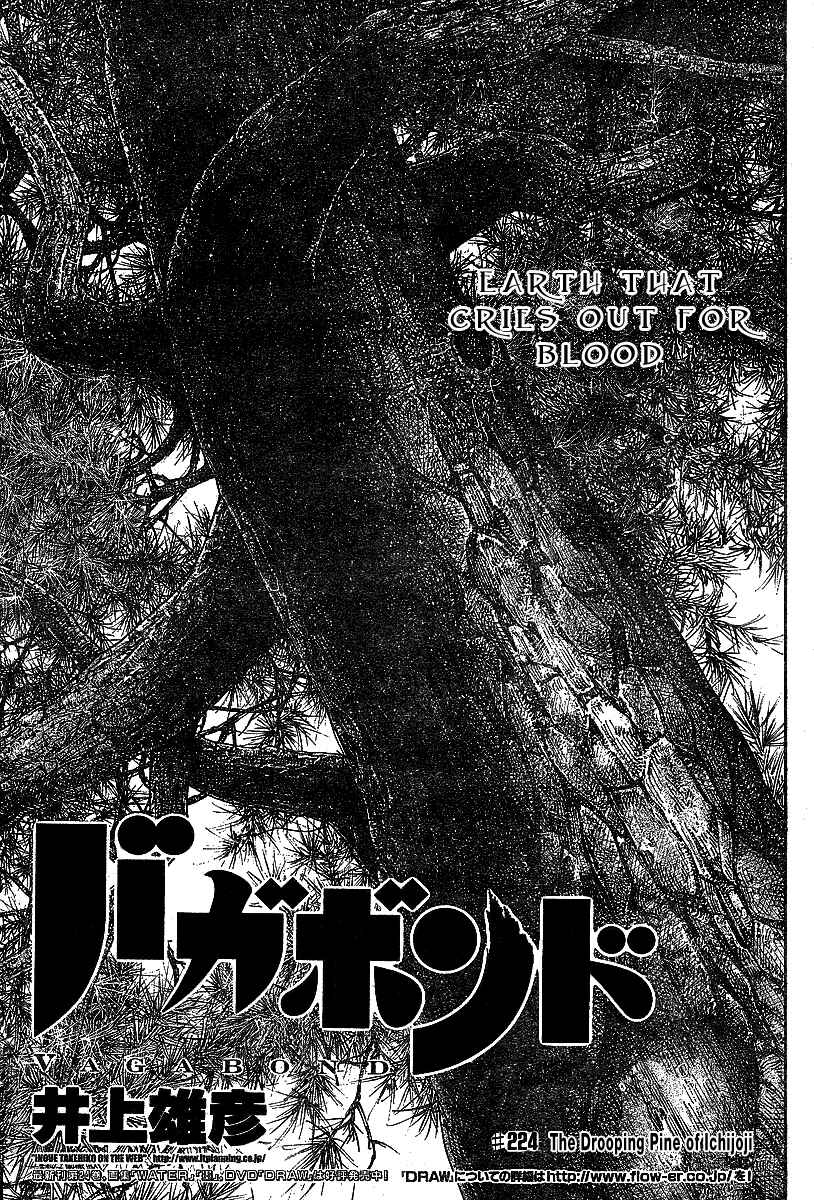 Page 2 Chapter 224 Vagabond