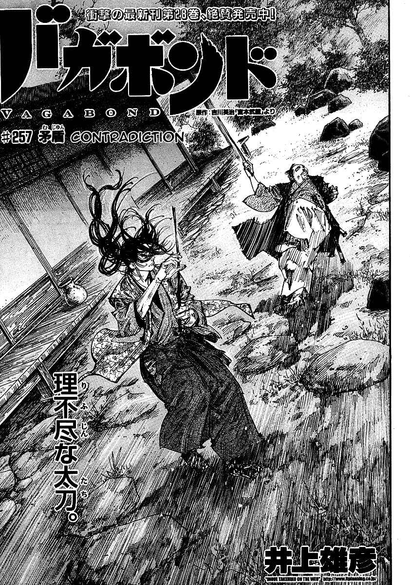 Page 3 Chapter 257 Vagabond