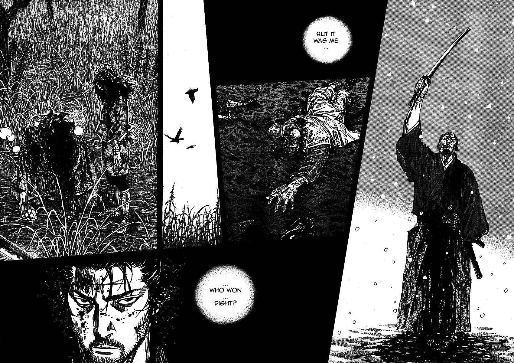 Page 18 Chapter 255 Vagabond