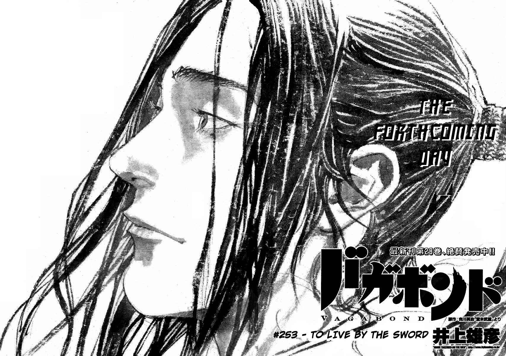 Page 3 Chapter 253 Vagabond