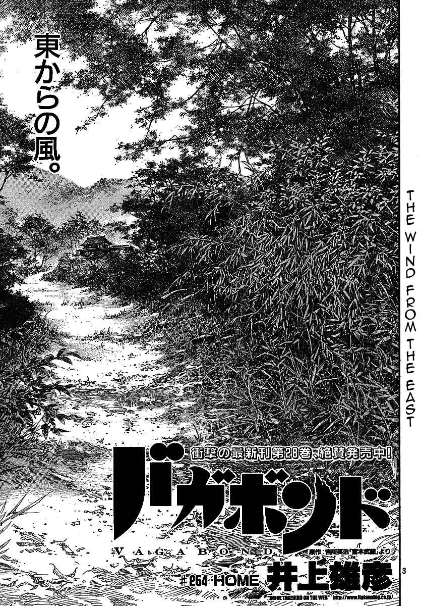 Page 3 Chapter 254 Vagabond