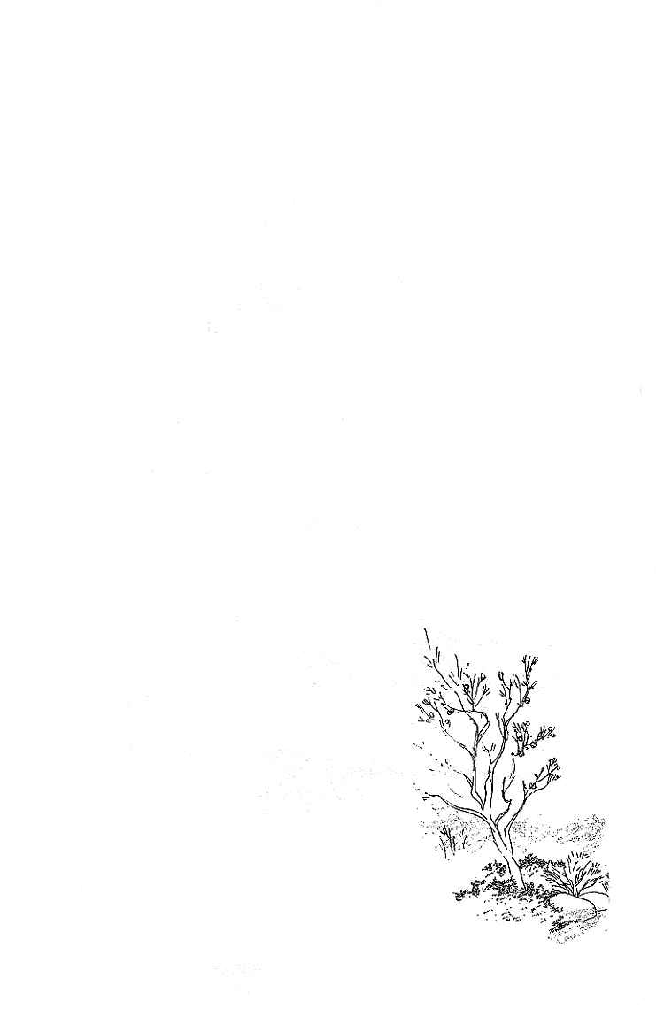 Page 47 Chapter 7 Childrens Garden