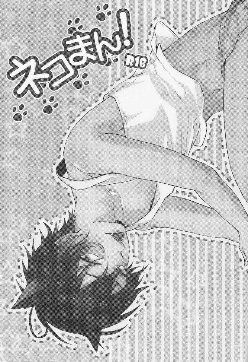 Page 2 Chapter Unknown_7a5c Ao no Exorcist - Neko Man! (Doujinshi)