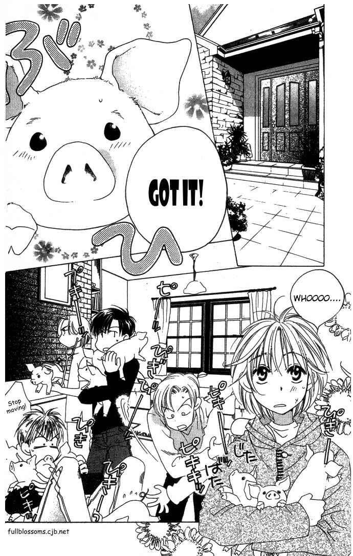 Page 14 Chapter 66 Hanazakari no Kimitachi e
