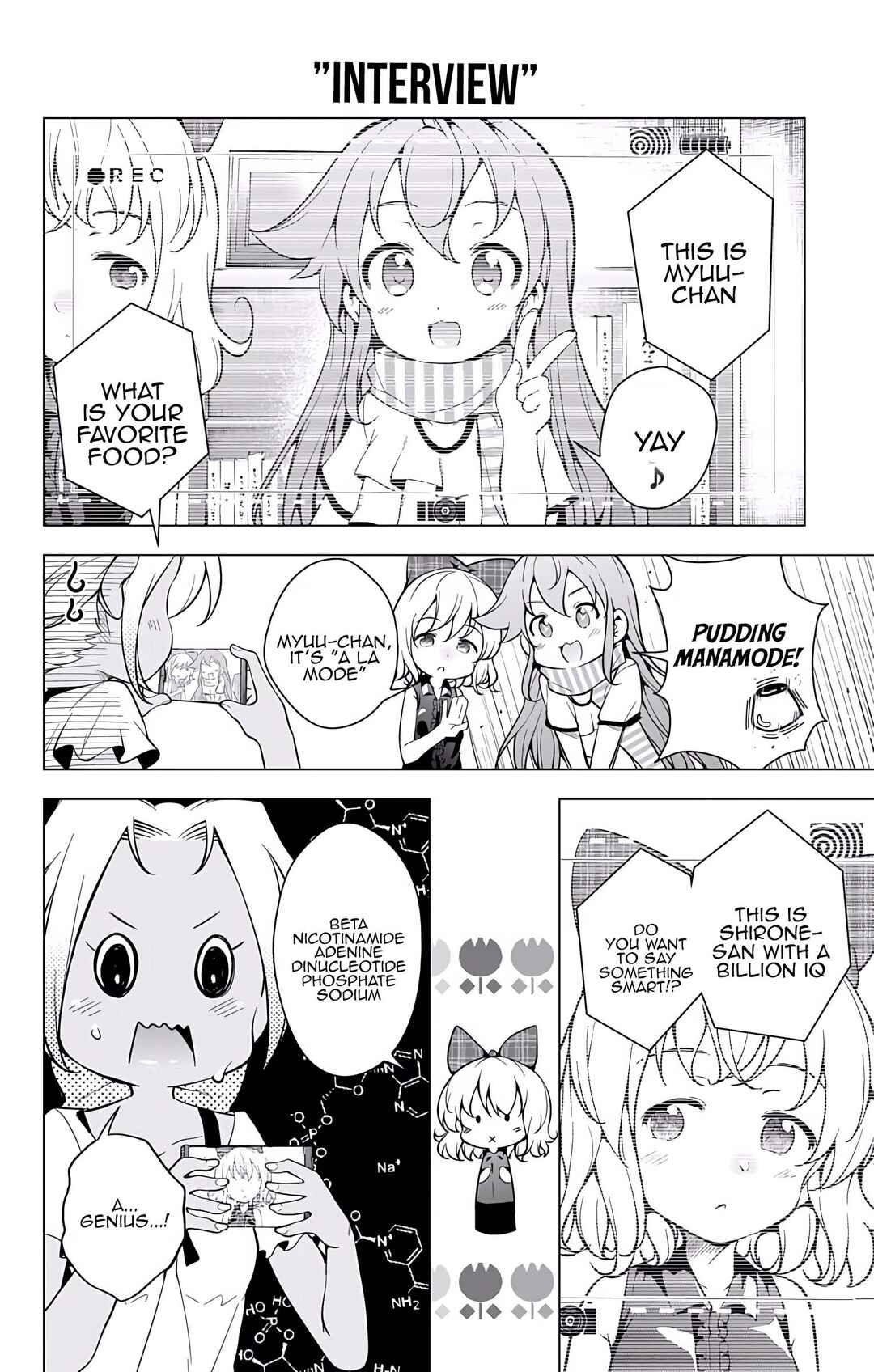 Page 4 Chapter 19.5 μ & i