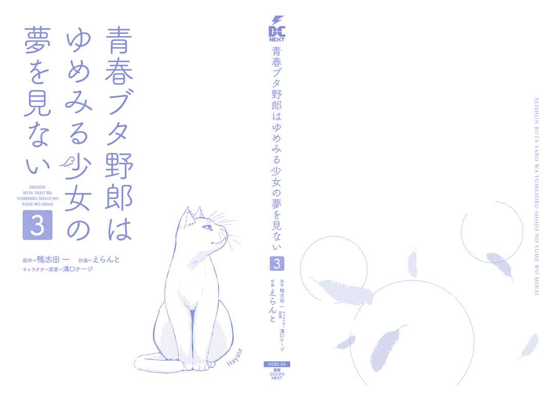 Page 10 Chapter 15.5 Rascal Does Not Dream of a Dreaming Girl