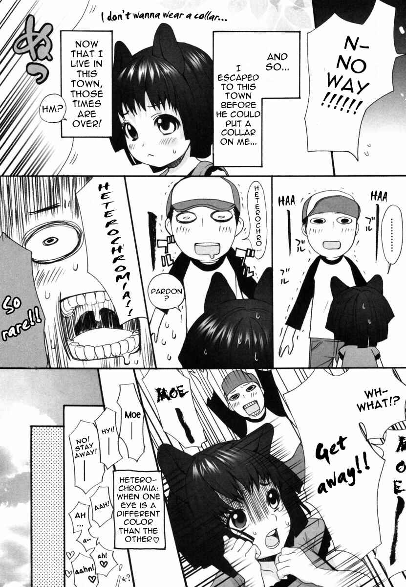 Page 15 Chapter 6 Inumimi Zukan