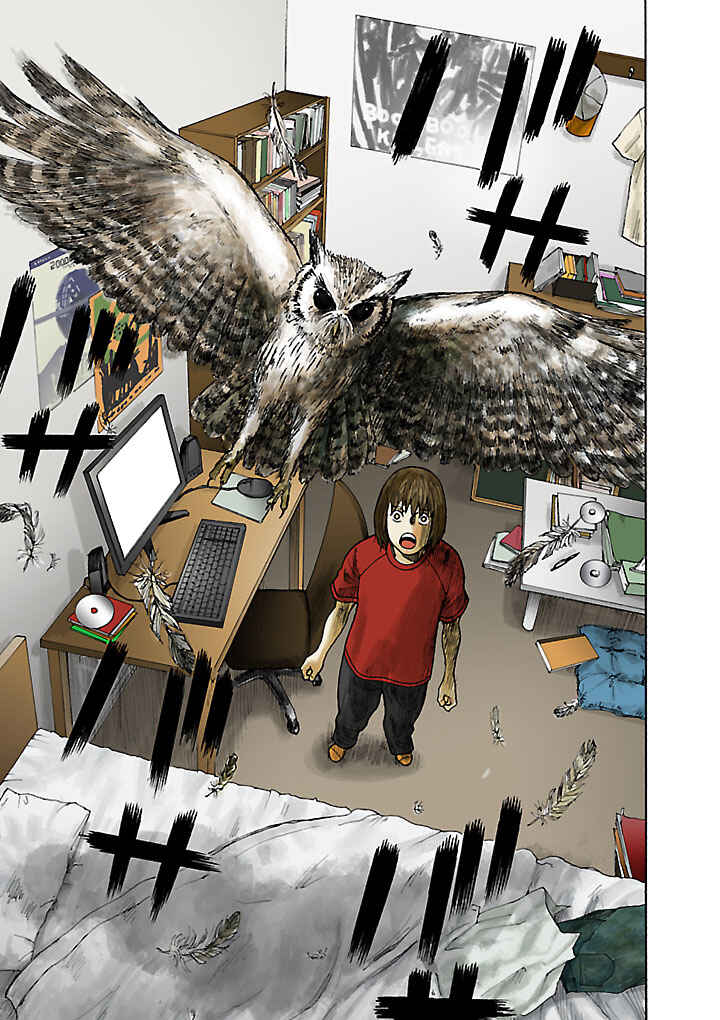 Page 11 Chapter 9 Insomnia