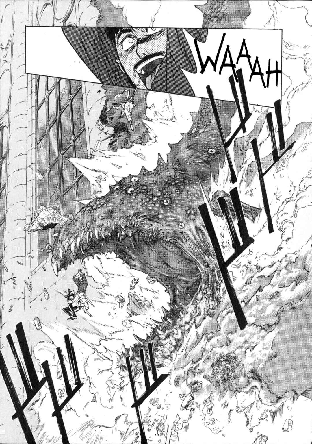 Page 30 Chapter 4 Vaelber Saga