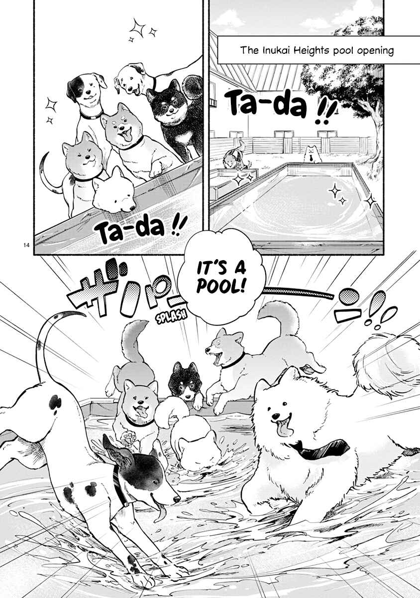 Page 19 Chapter 13 One Room Wanko