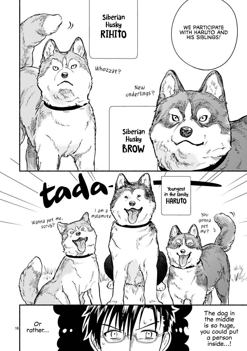 Page 20 Chapter 18 One Room Wanko
