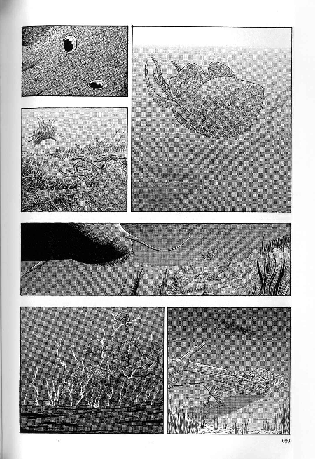 Page 19 Chapter 3 The Future is Wild