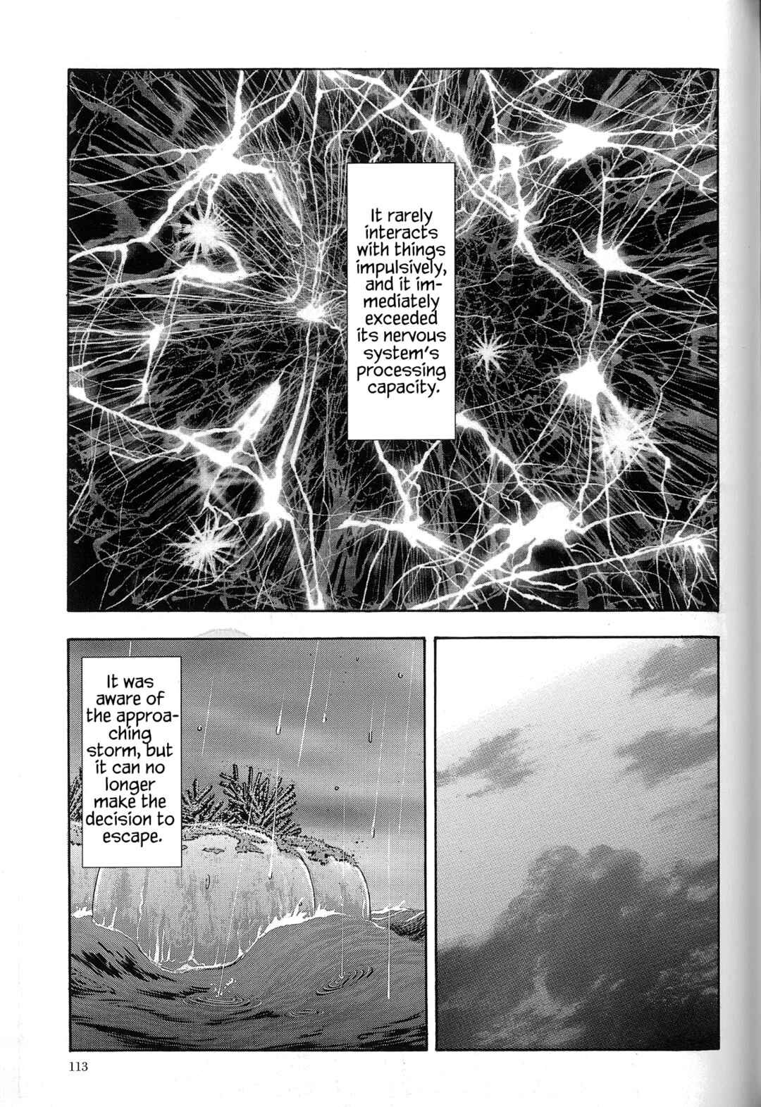 Page 20 Chapter 4 The Future is Wild