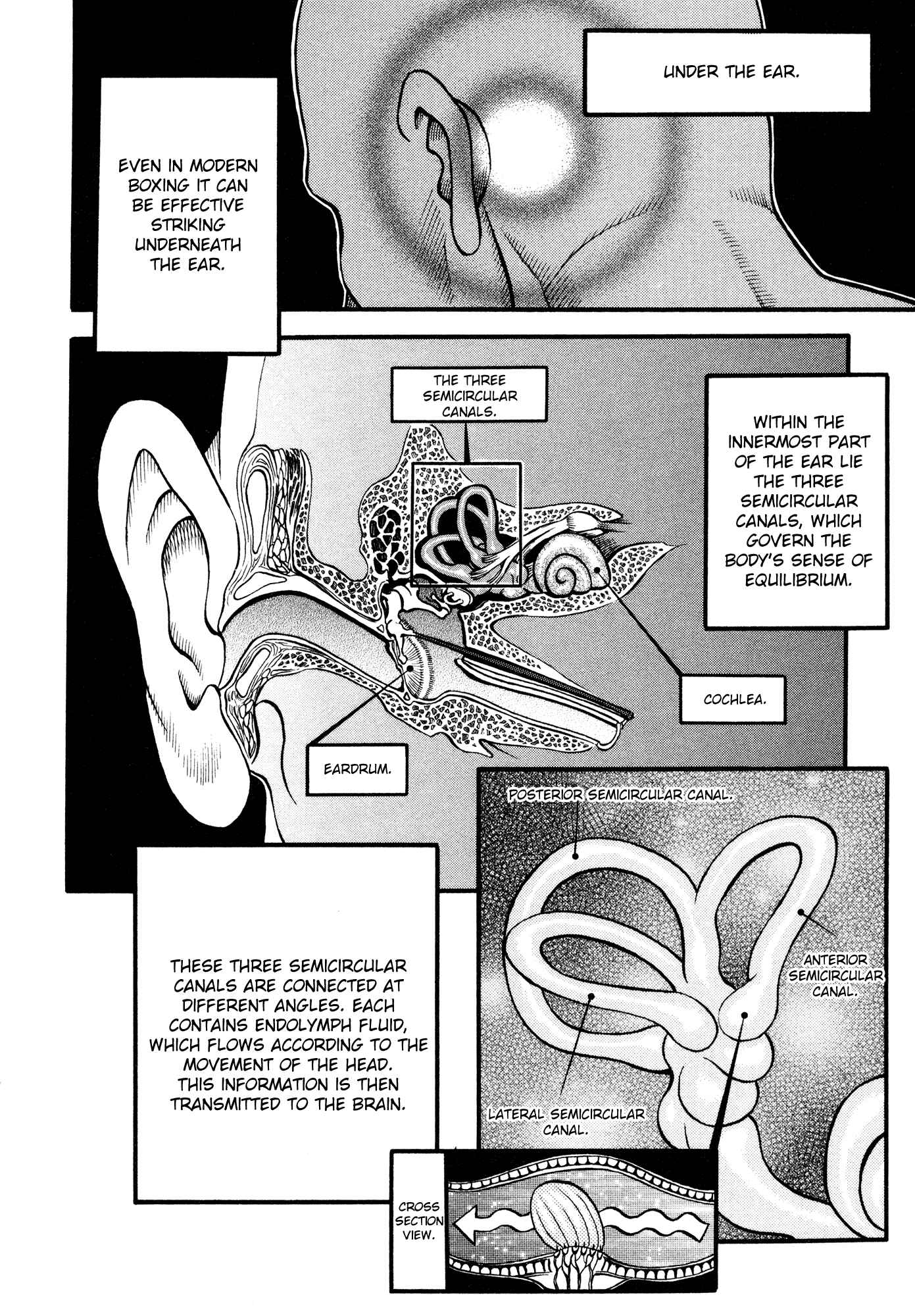 Page 17 Chapter 44 Cestvs: The Legend of Boxing in the Dark Ages