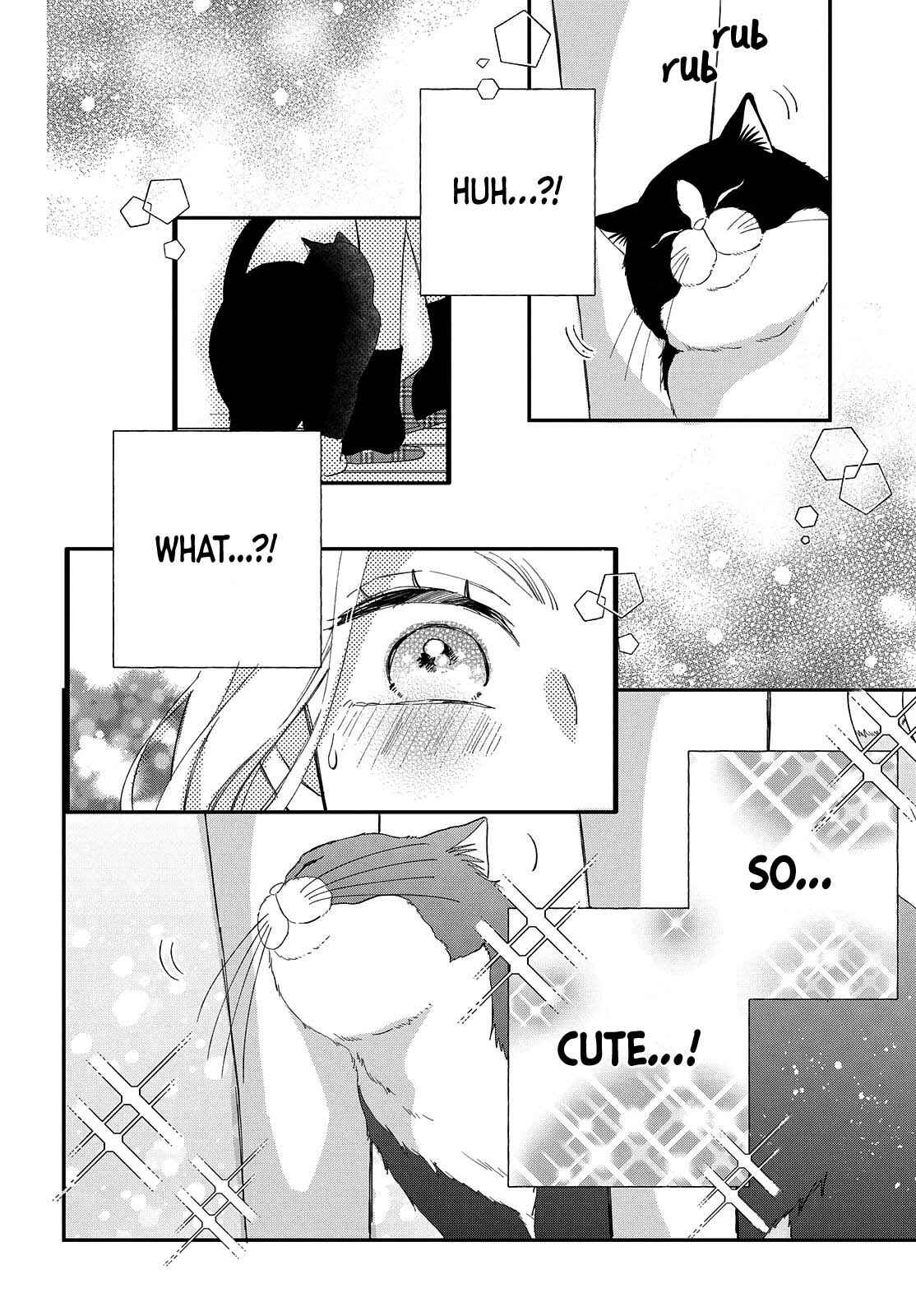 Page 28 Chapter 6 Neko to Kiss