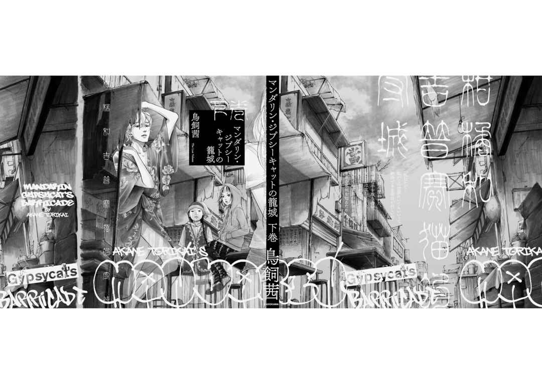 Page 38 Chapter 13 Mandarin Gypsy Cats Barricade
