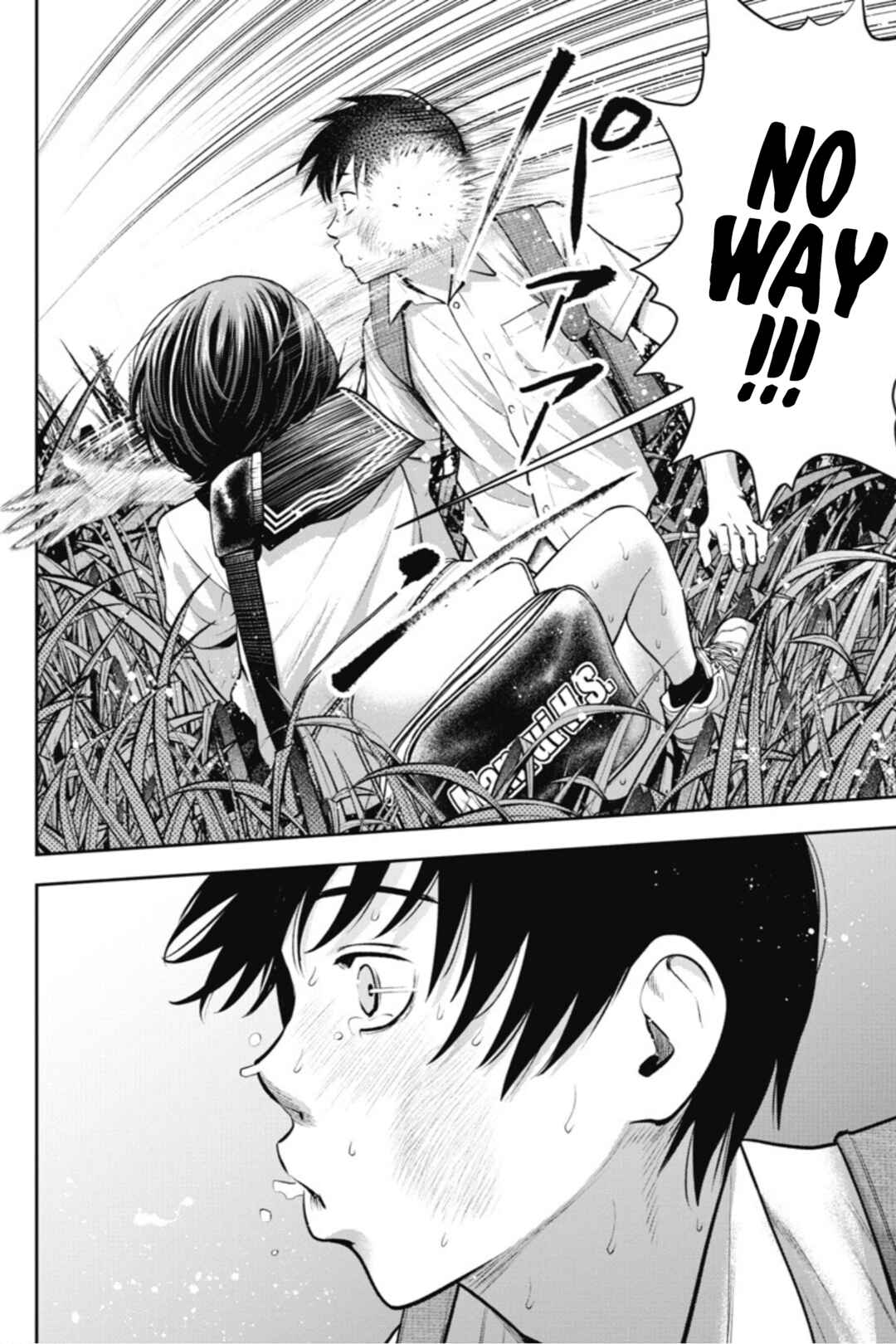Page 17 Chapter 13 Double Play
