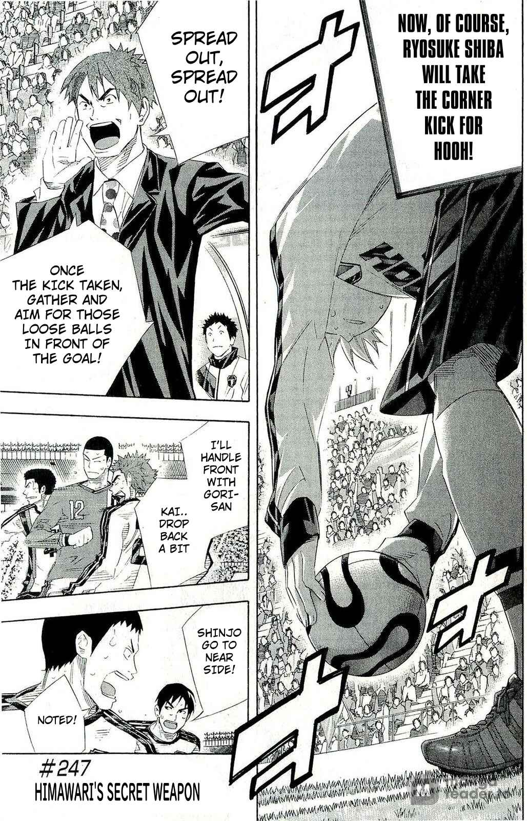 Page 1 Chapter 247 The Knight in the Area