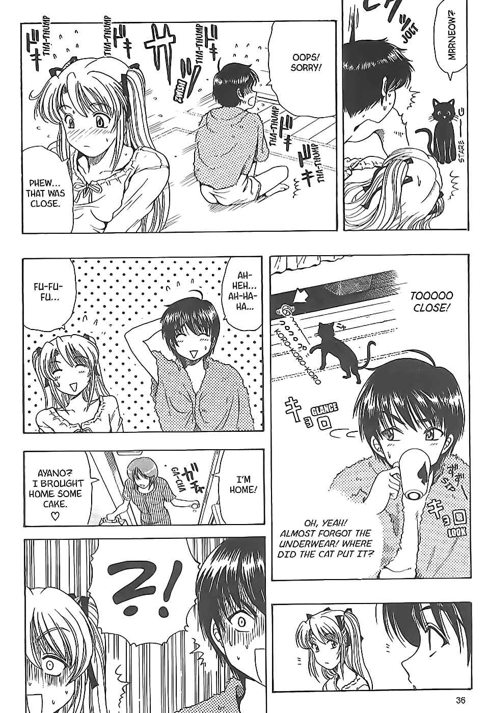 Page 37 Chapter 6 Puri Puri