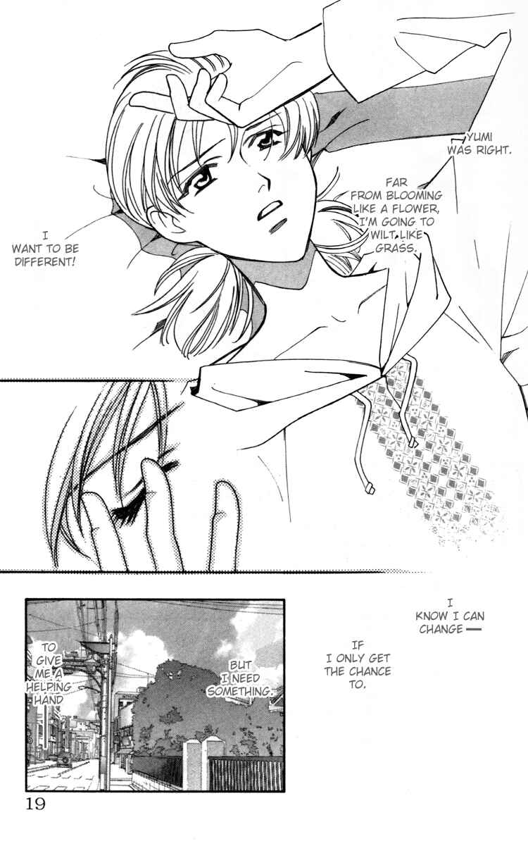 Page 20 Chapter 1 Flower