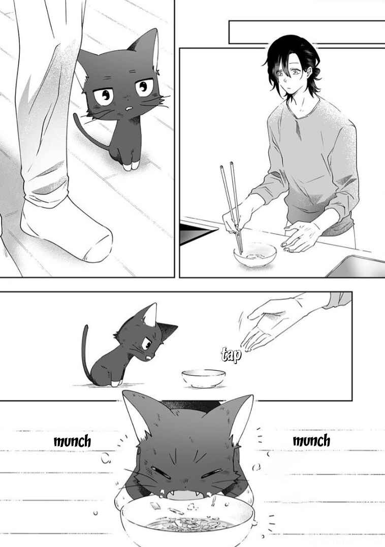 Page 8 Chapter 3 Neko ni wa Neko no Neko Gohan