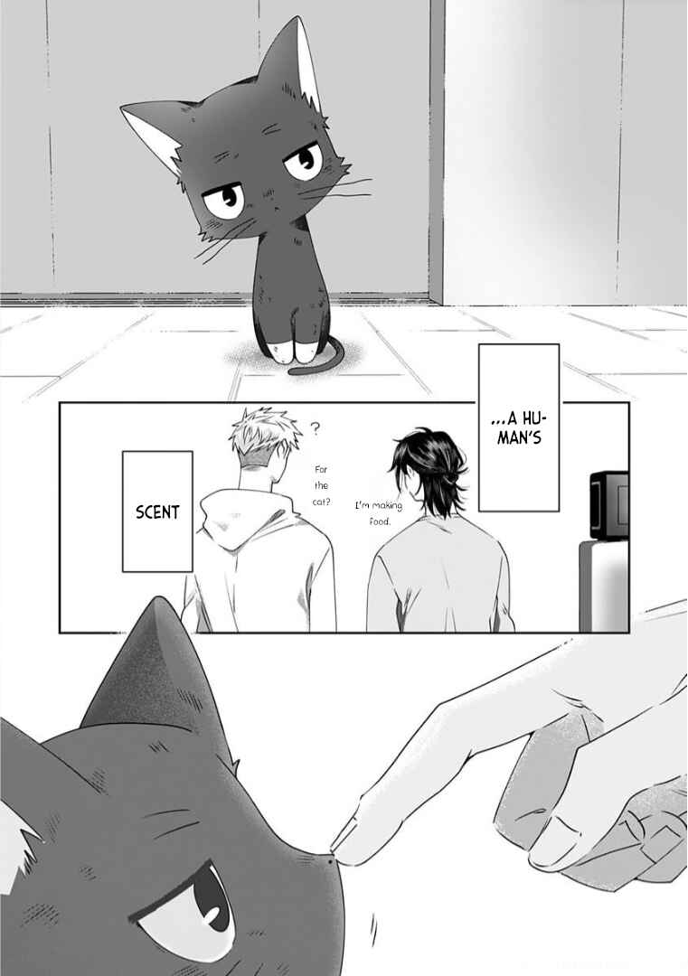 Page 3 Chapter 4 Neko ni wa Neko no Neko Gohan