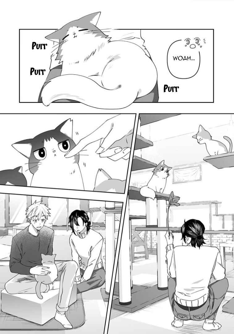 Page 11 Chapter 5 Neko ni wa Neko no Neko Gohan
