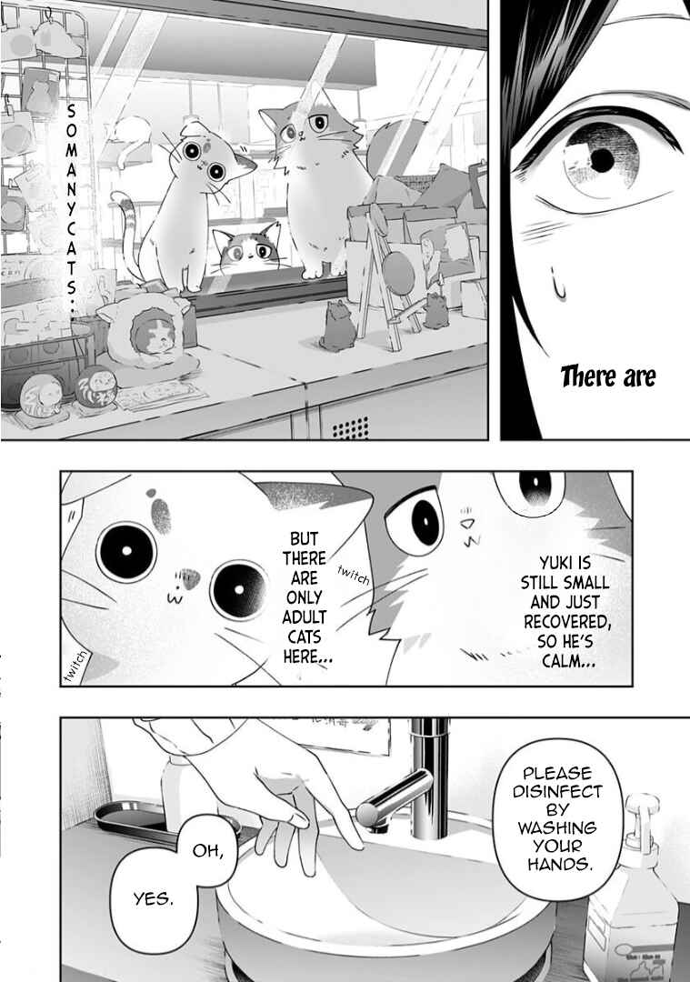 Page 2 Chapter 5 Neko ni wa Neko no Neko Gohan