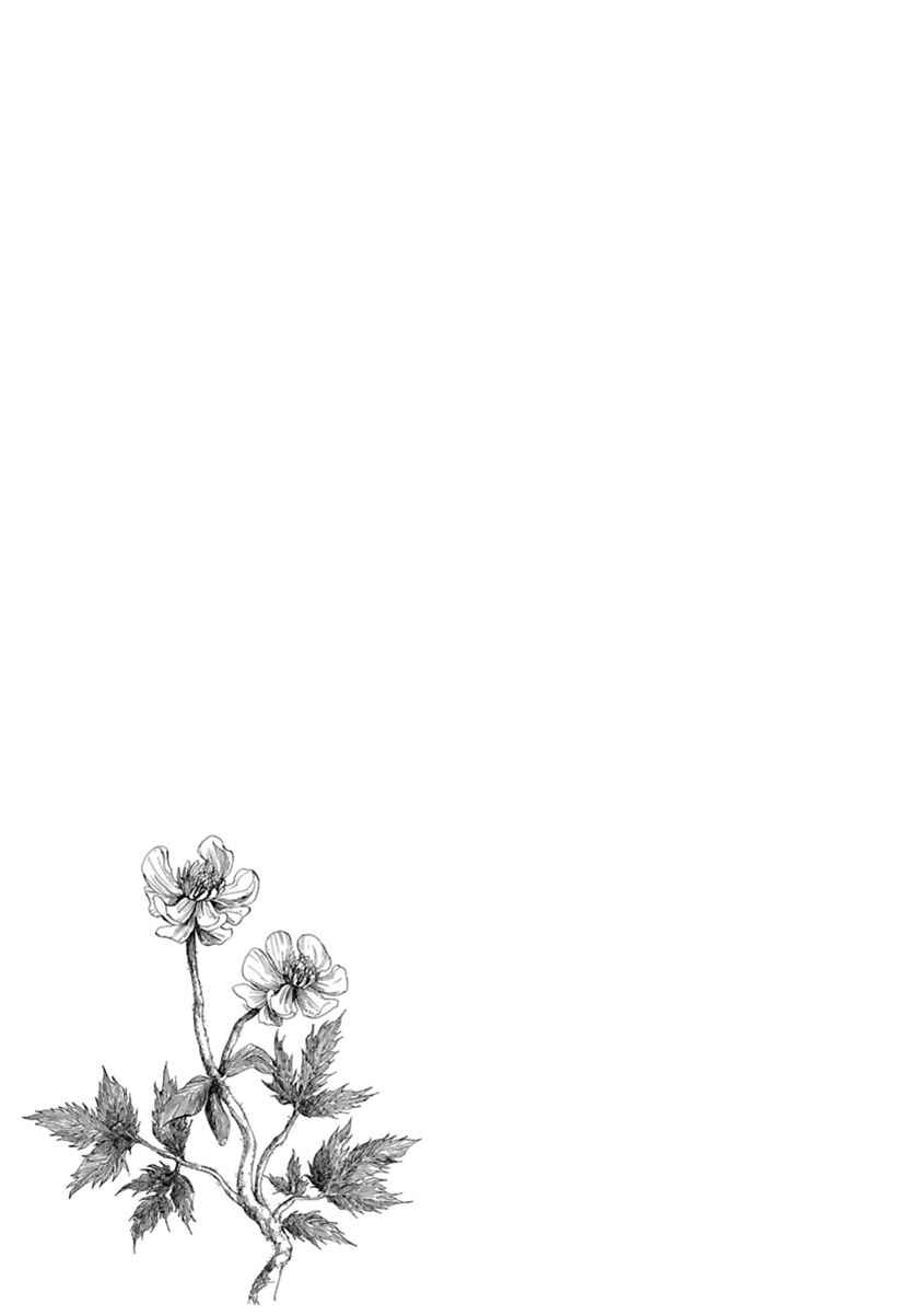 Page 36 Chapter 3 Ao no Haha