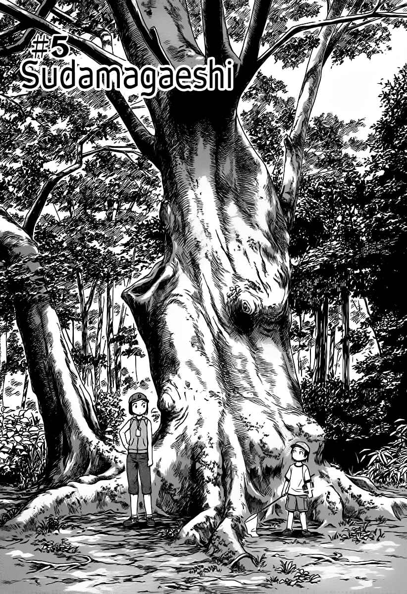 Page 1 Chapter 5 Mokke