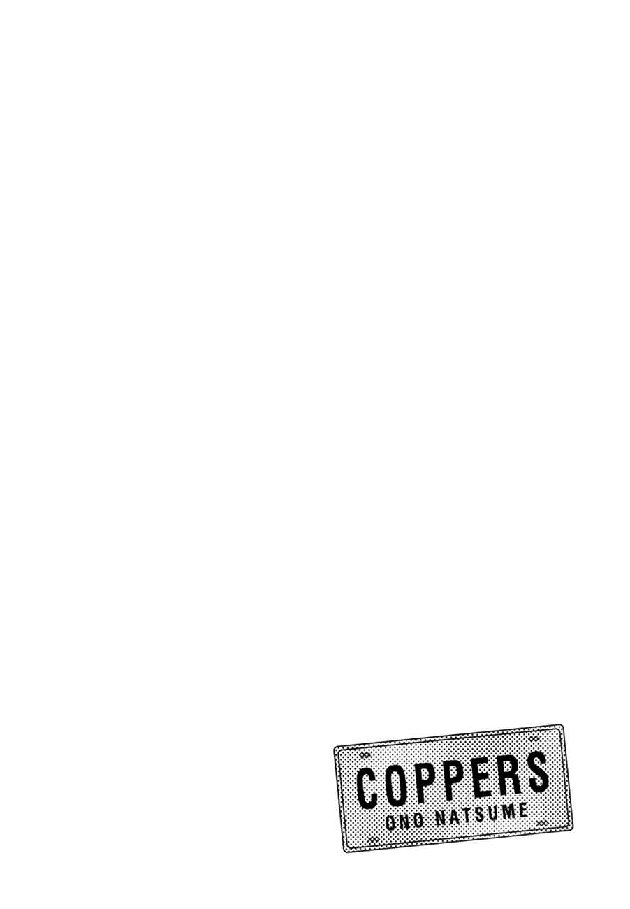 Page 36 Chapter 5 Coppers