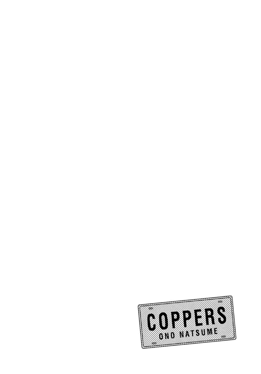 Page 64 Chapter 3 Coppers