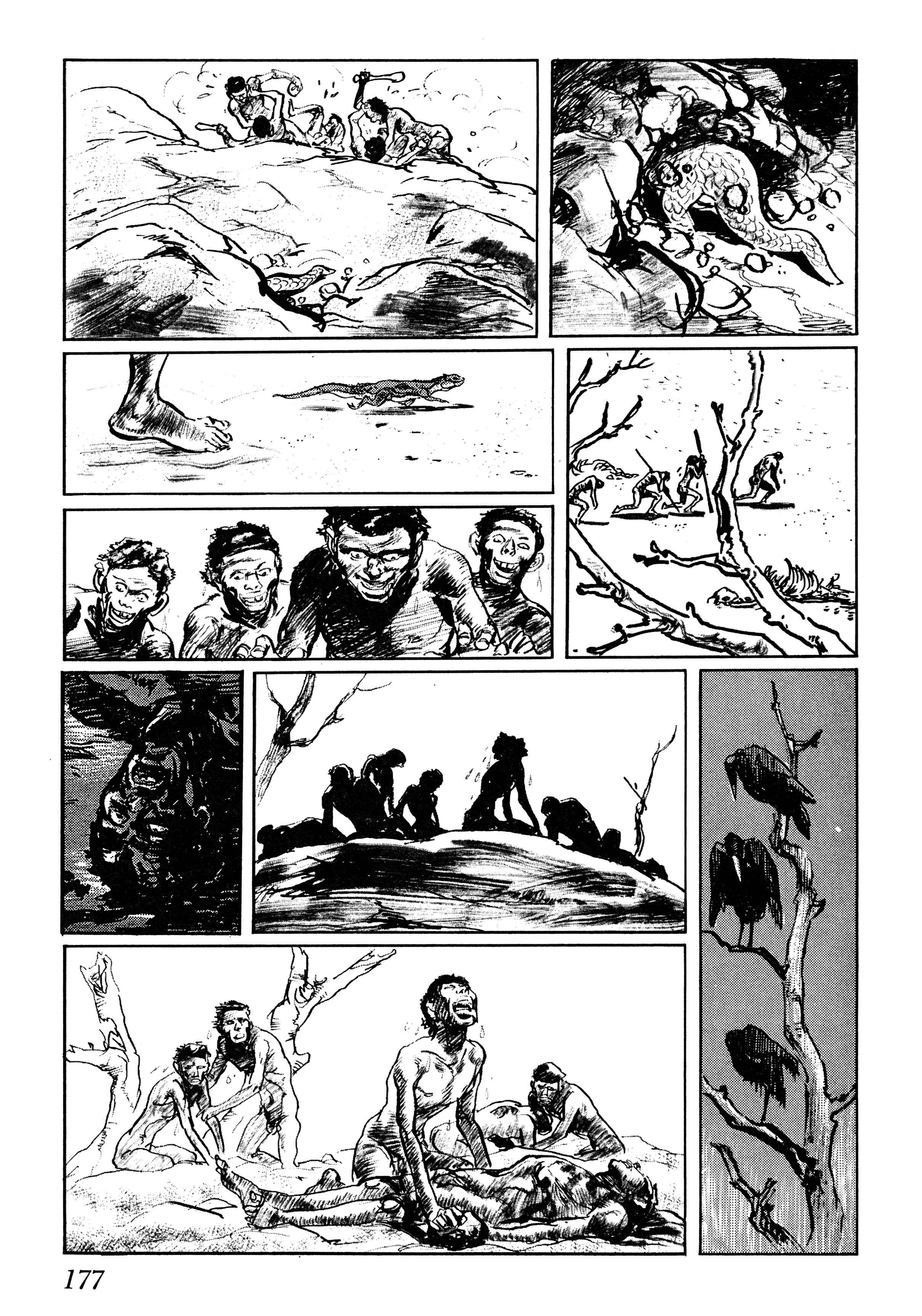 Page 13 Chapter 5 Savanna
