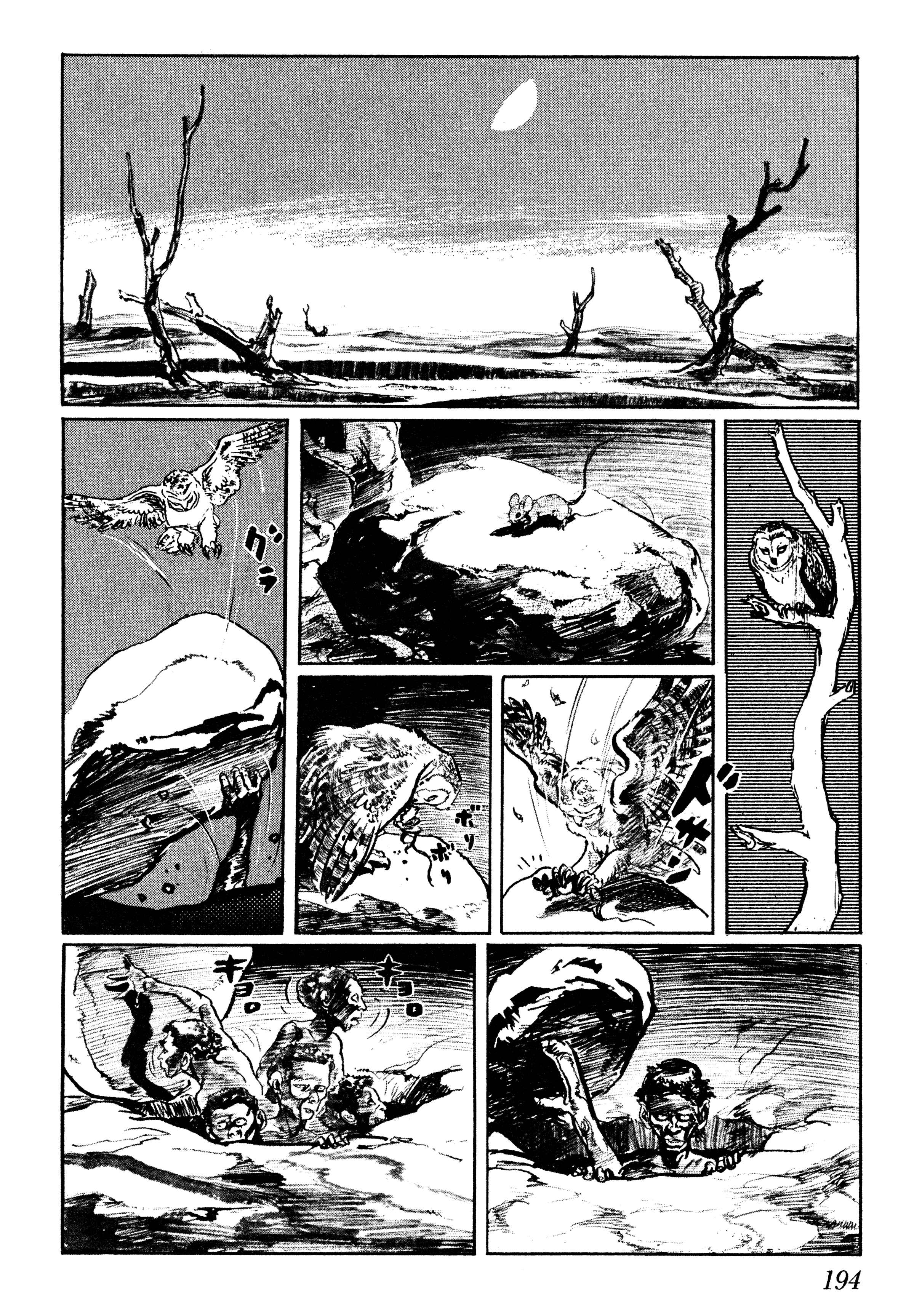 Page 24 Chapter 5 Savanna