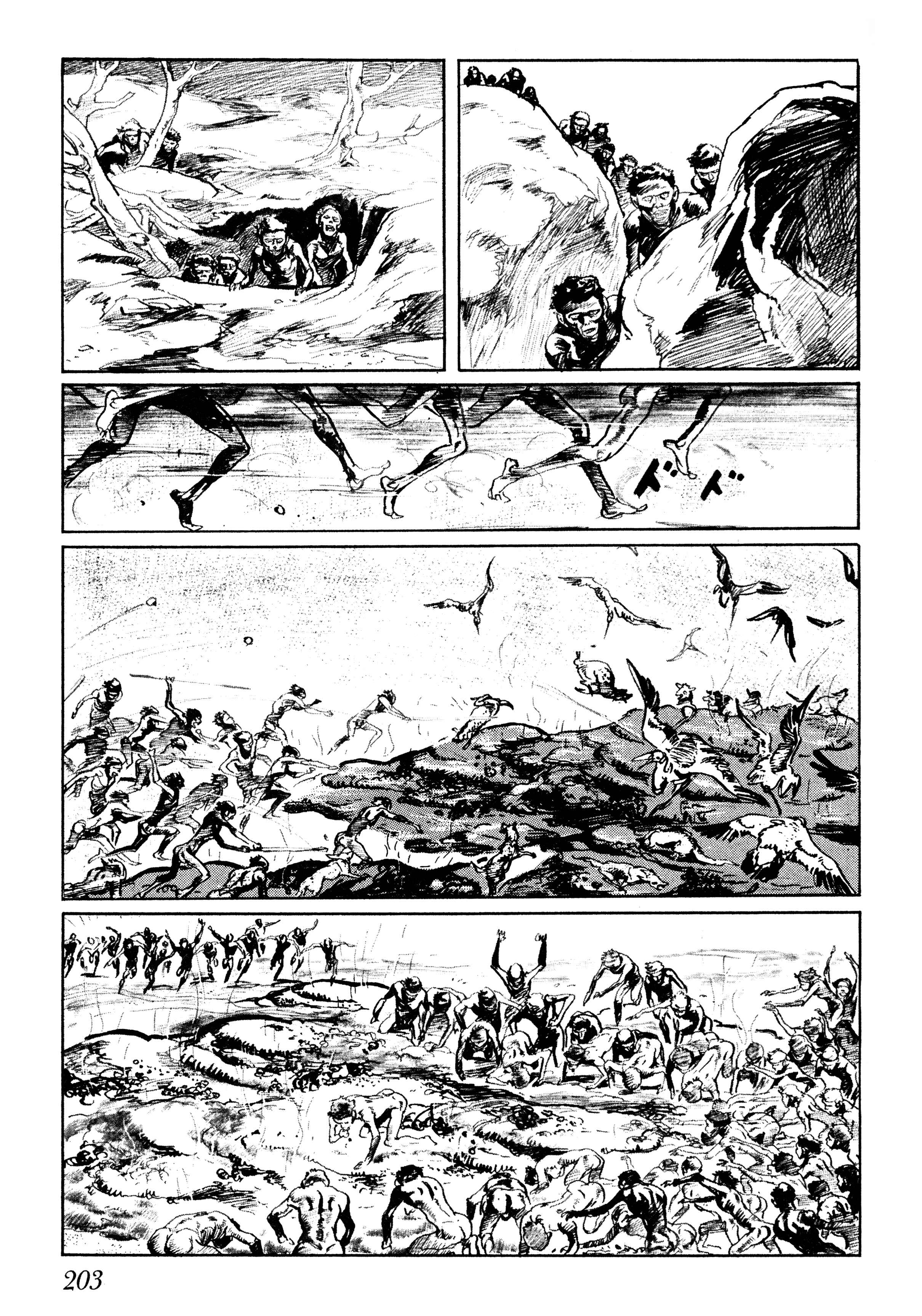 Page 30 Chapter 5 Savanna