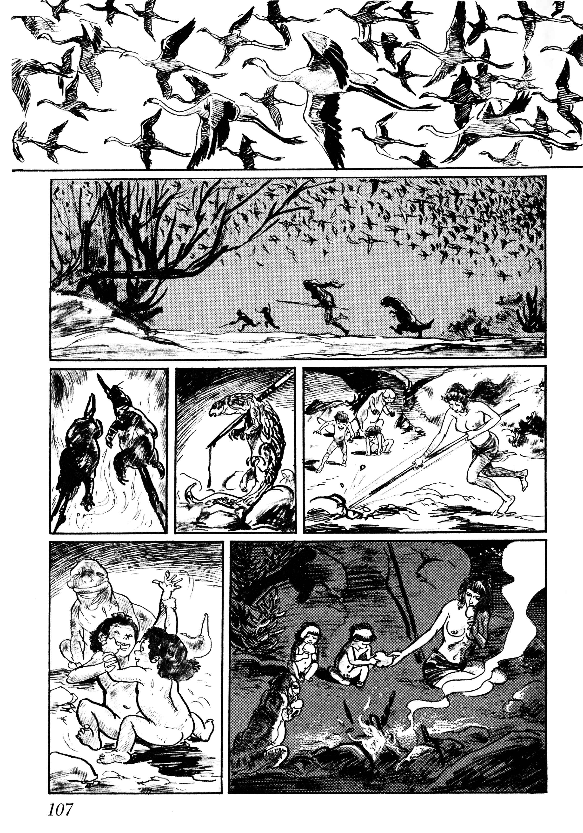 Page 29 Chapter 3 Savanna