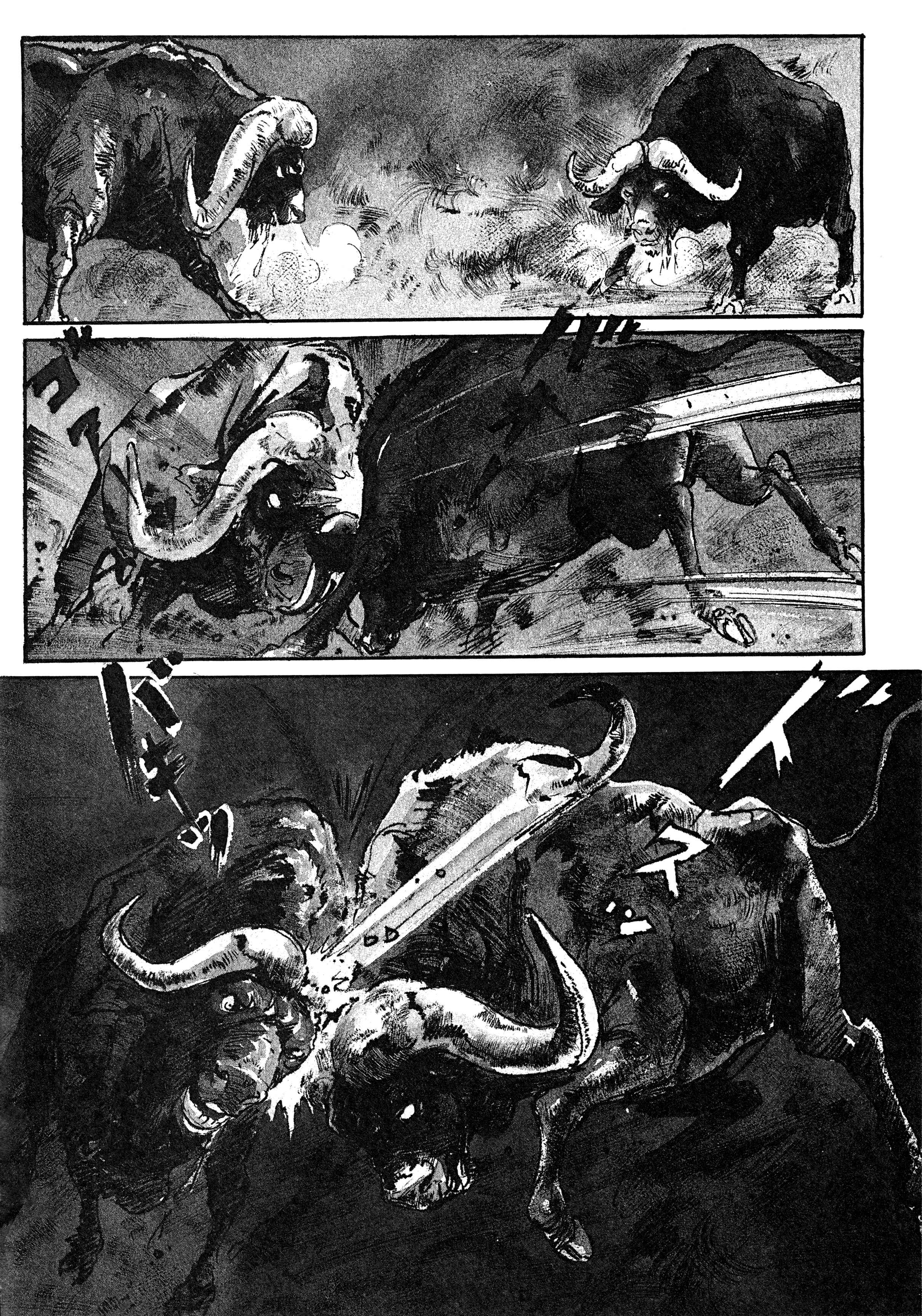 Page 3 Chapter 3 Savanna