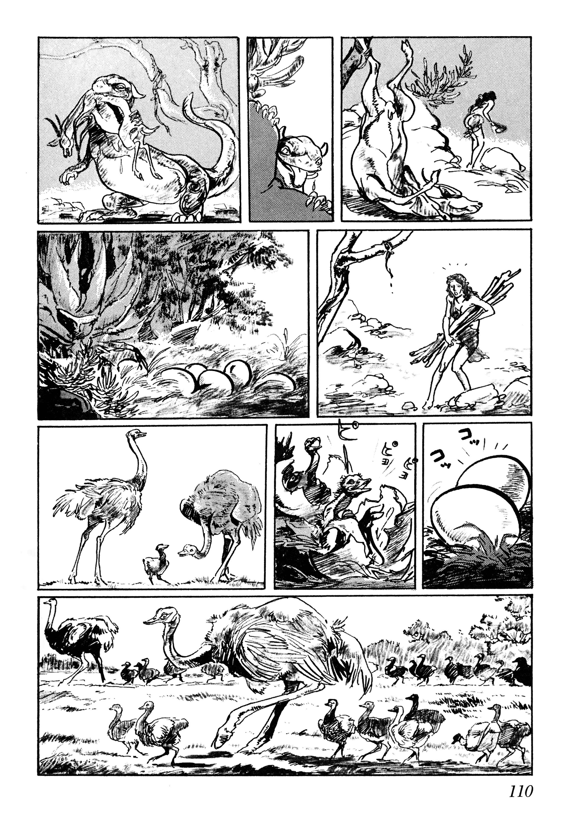 Page 32 Chapter 3 Savanna