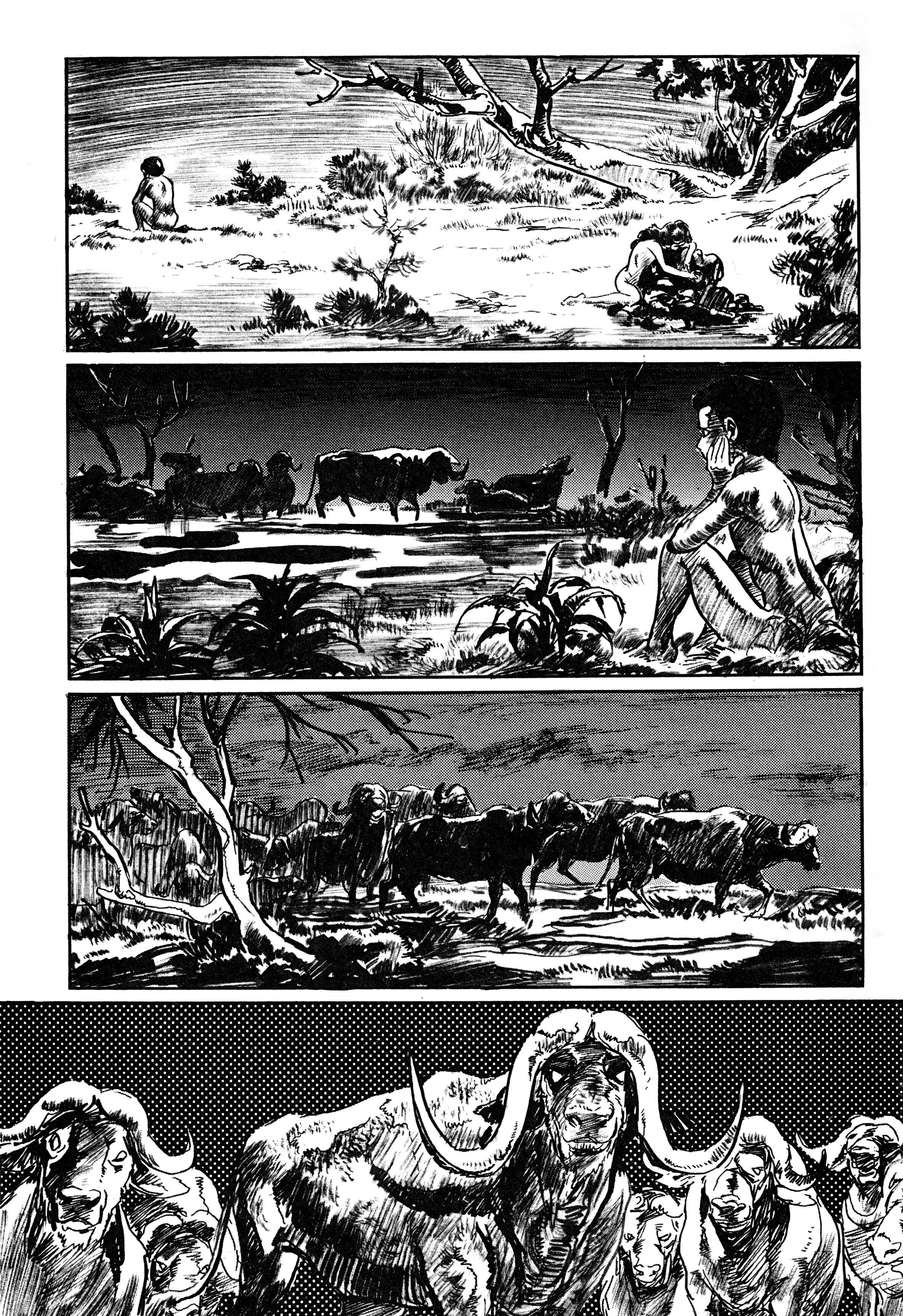 Page 7 Chapter 3 Savanna