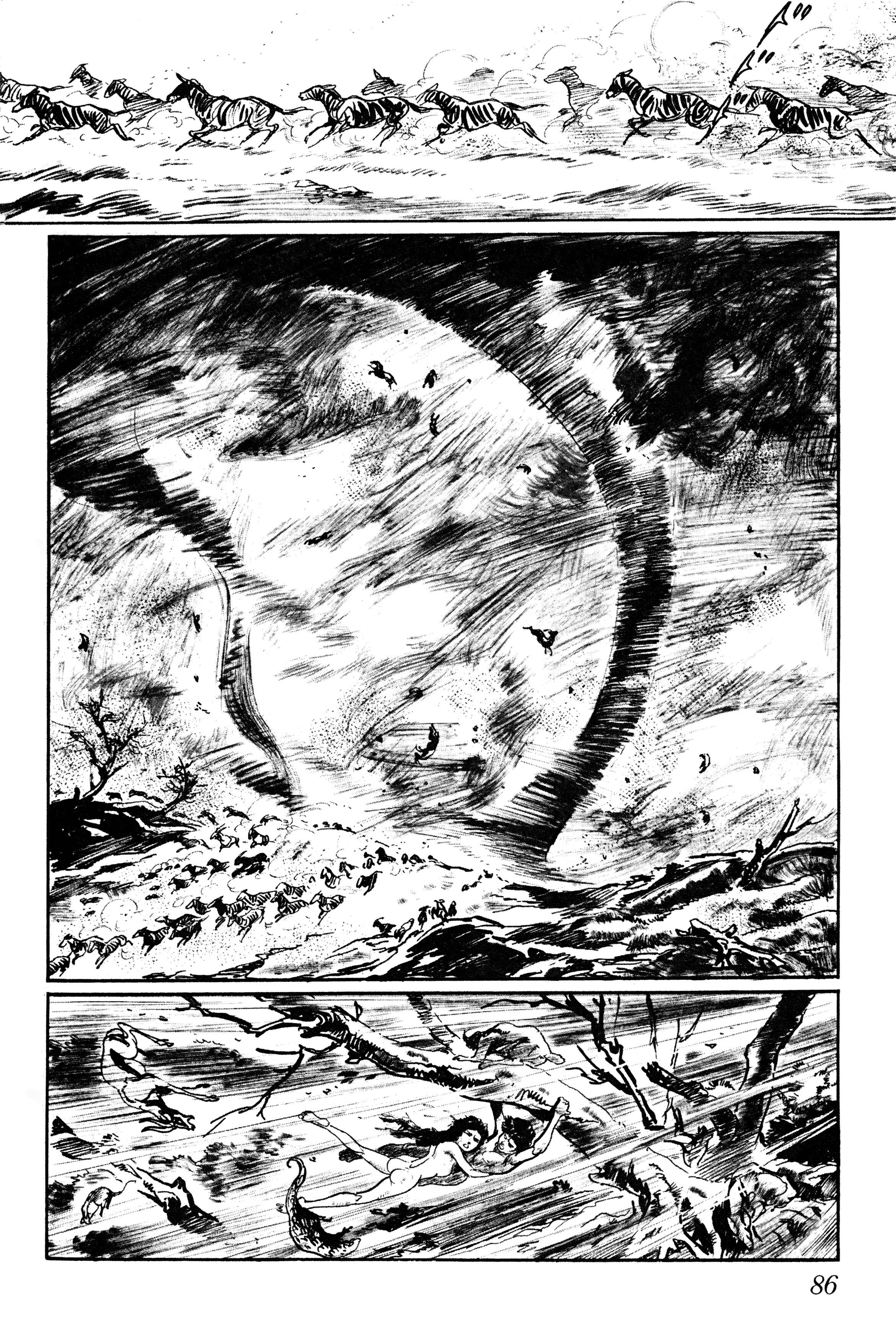Page 8 Chapter 3 Savanna